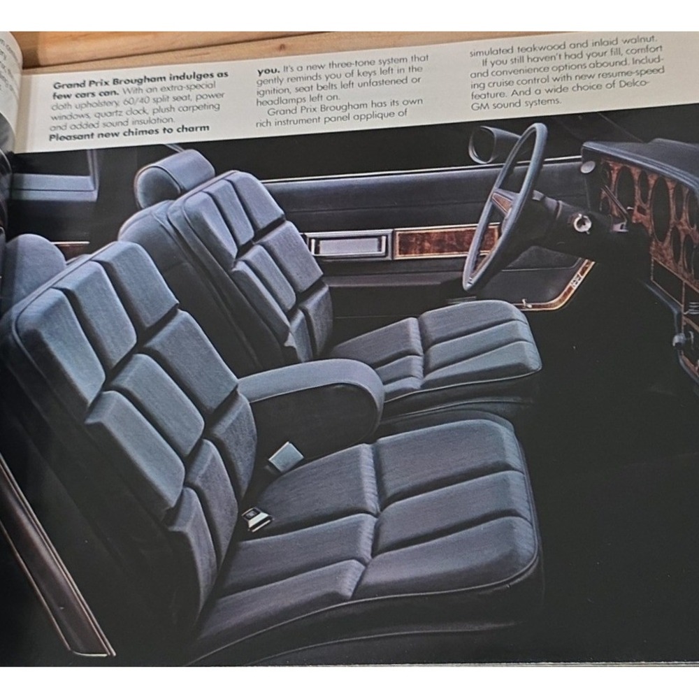1981 Pontiac Sales Brochure Catalog Grand Prix LeMans Catalina Firebird Vintage - Picture 5 of 6